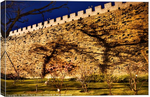 Ming City Wall Ruins Park Shadows Beijing China  Canvas Print by William Perry
