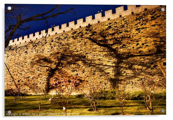 Ming City Wall Ruins Park Shadows Beijing China  Acrylic by William Perry