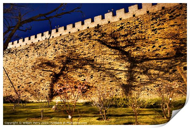 Ming City Wall Ruins Park Shadows Beijing China  Print by William Perry