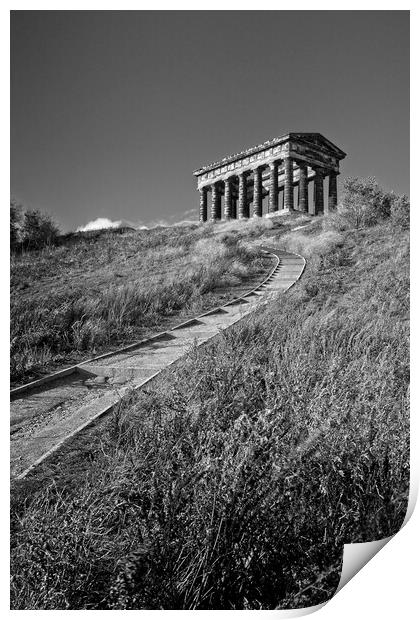 Penshaw Monument, County Durham Print by Rob Cole