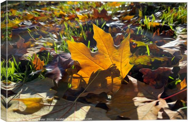 Autumn leaf in the sun Canvas Print by Marinela Feier