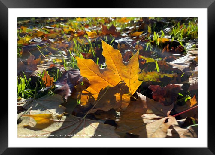 Autumn leaf in the sun Framed Mounted Print by Marinela Feier