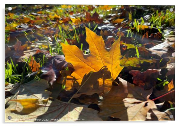 Autumn leaf in the sun Acrylic by Marinela Feier