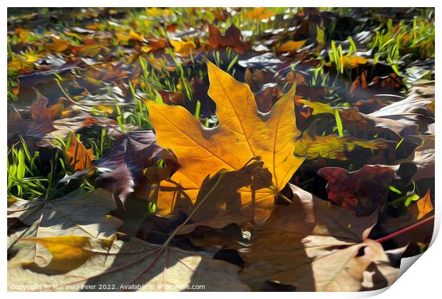 Autumn leaf in the sun Print by Marinela Feier