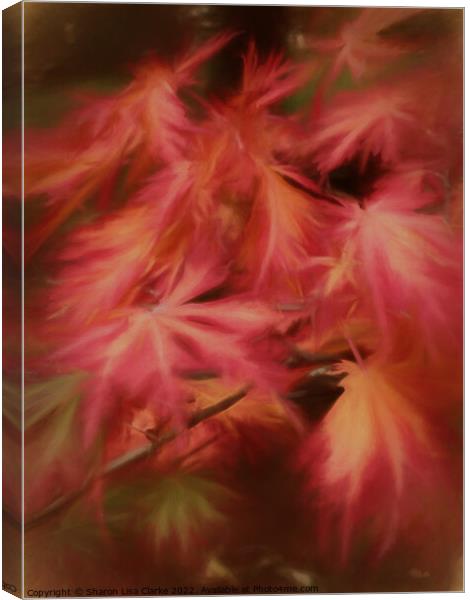 Autumn Hues Canvas Print by Sharon Lisa Clarke