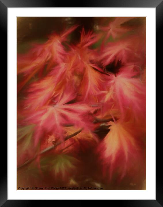 Autumn Hues Framed Mounted Print by Sharon Lisa Clarke