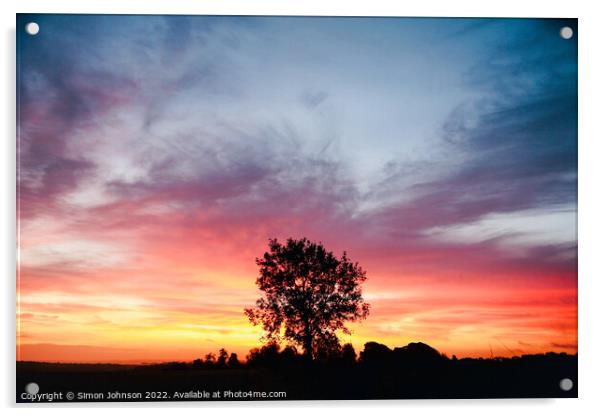 Tree silhouette at sunrise Acrylic by Simon Johnson