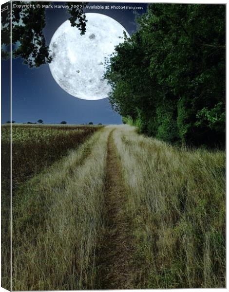 To the moon and back Canvas Print by Mark Harvey