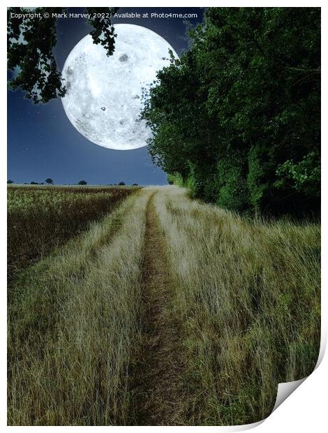 To the moon and back Print by Mark Harvey