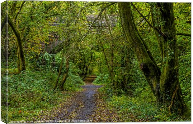 Pathway through the Woods in October Canvas Print by Nick Jenkins