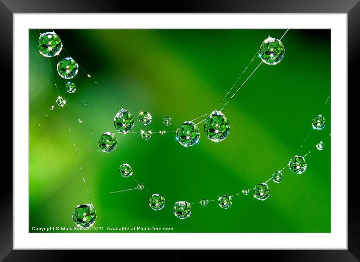 Small Jewels Framed Mounted Print by Mark Robson