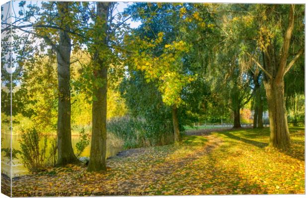 Golden Autumn Woods Canvas Print by Helkoryo Photography