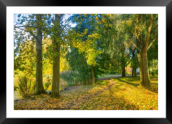 Golden Autumn Woods Framed Mounted Print by Helkoryo Photography