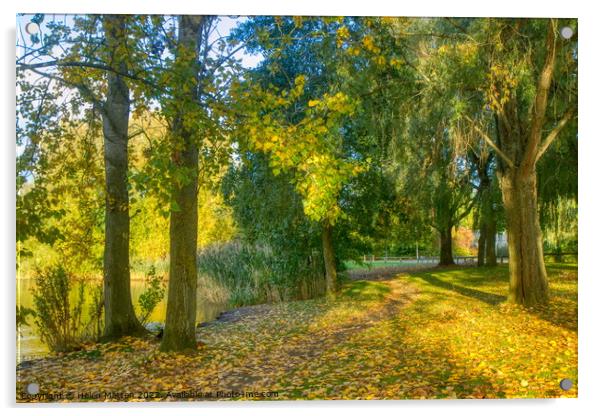 Golden Autumn Woods Acrylic by Helkoryo Photography