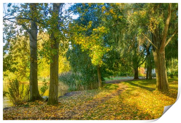 Golden Autumn Woods Print by Helkoryo Photography