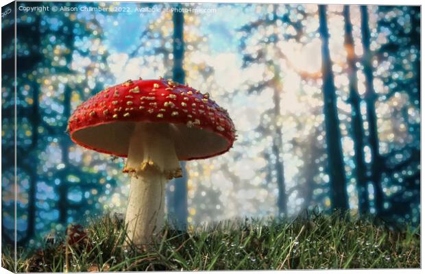 Woodland Fly Agaric Toadstool Canvas Print by Alison Chambers