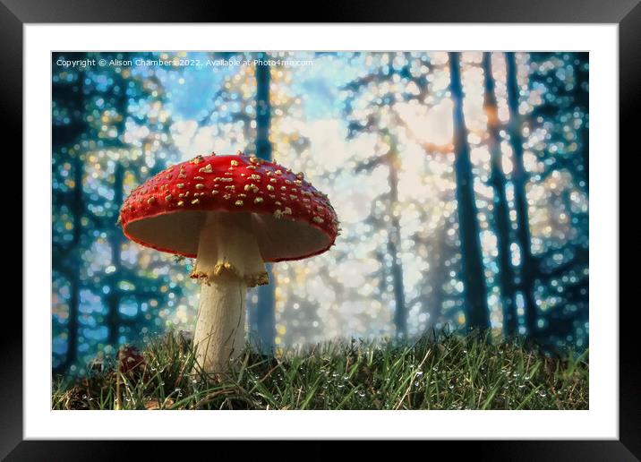 Woodland Fly Agaric Toadstool Framed Mounted Print by Alison Chambers