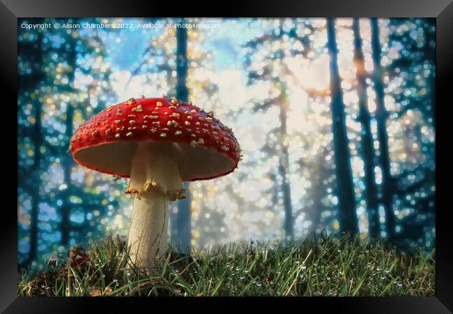 Woodland Fly Agaric Toadstool Framed Print by Alison Chambers