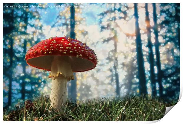 Woodland Fly Agaric Toadstool Print by Alison Chambers