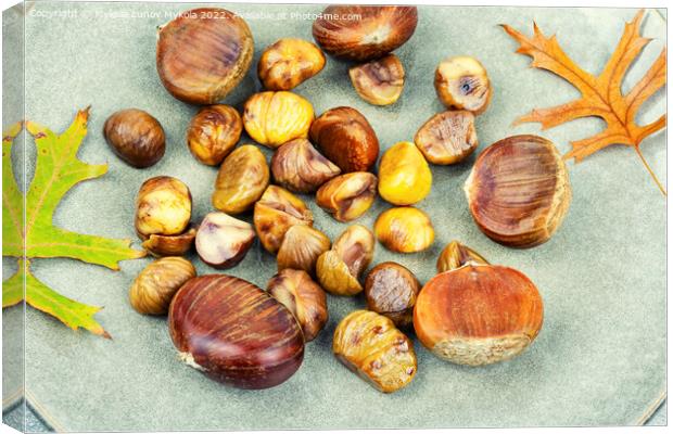 Roasted peeled chestnuts,close up Canvas Print by Mykola Lunov Mykola