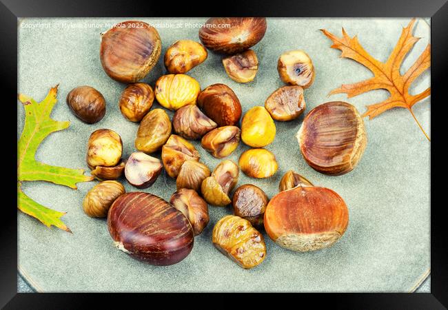 Roasted peeled chestnuts,close up Framed Print by Mykola Lunov Mykola