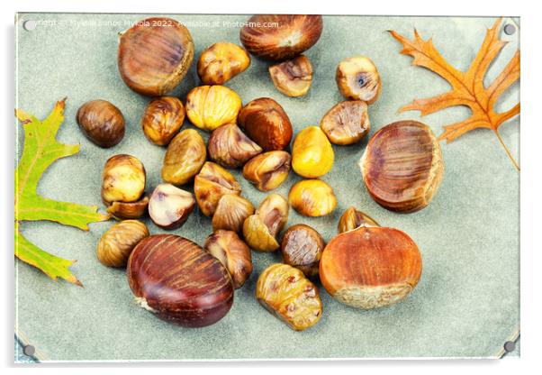 Roasted peeled chestnuts,close up Acrylic by Mykola Lunov Mykola