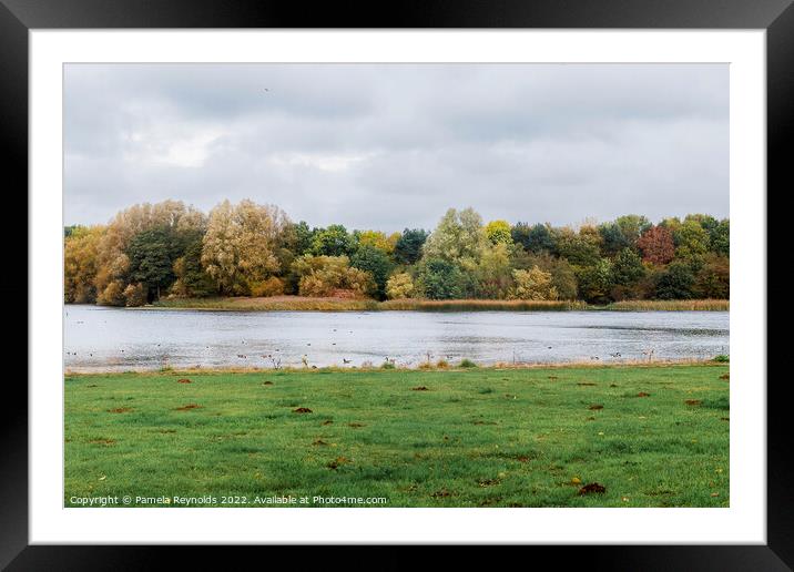 Autumn Fall Colours at Priorsley Balancing Lake Telford Framed Mounted Print by Pamela Reynolds