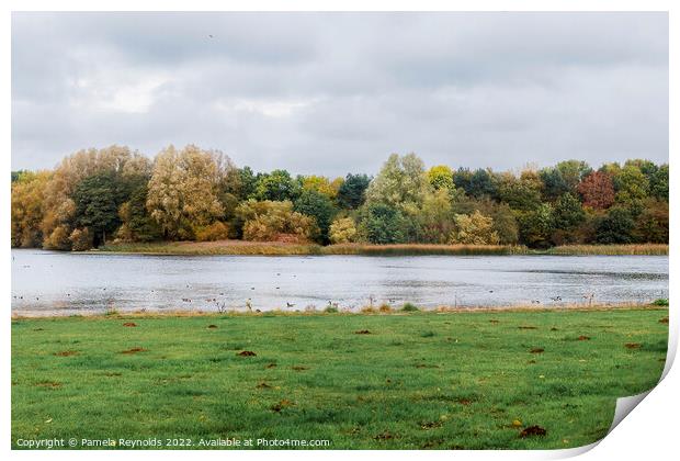 Autumn Fall Colours at Priorsley Balancing Lake Telford Print by Pamela Reynolds