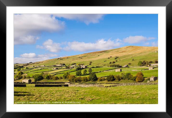 English Countryside Swaledale Yorkshire Dales Framed Mounted Print by Pearl Bucknall
