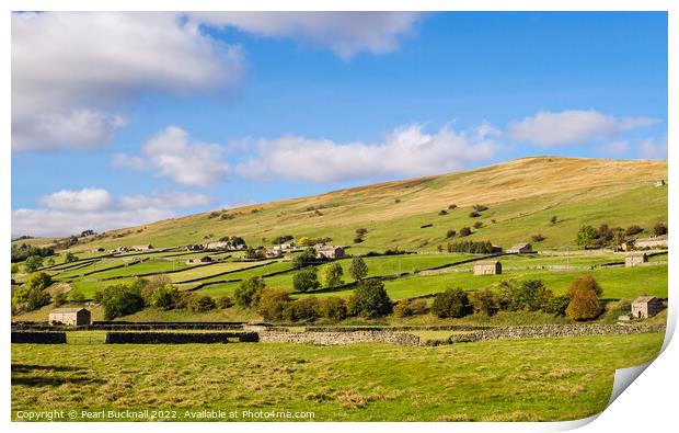 English Countryside Swaledale Yorkshire Dales Print by Pearl Bucknall