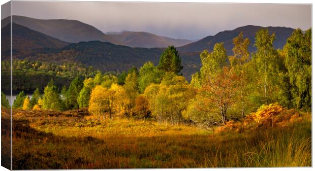 Glen Affric Autumn Panorama Canvas Print by John Frid