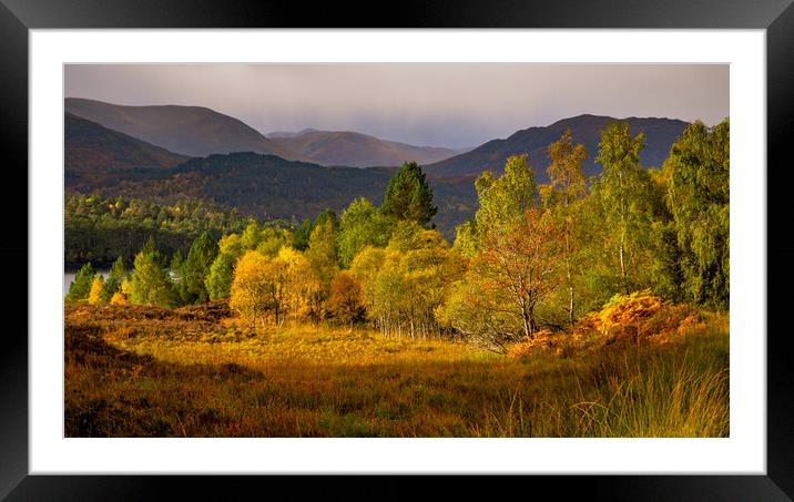 Glen Affric Autumn Panorama Framed Mounted Print by John Frid