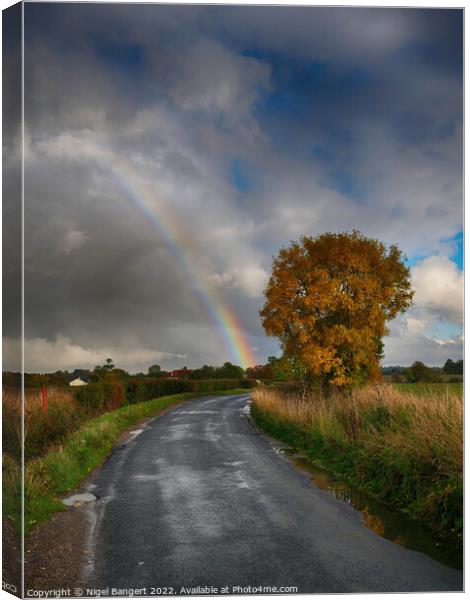 Chasing The Rainbow Canvas Print by Nigel Bangert