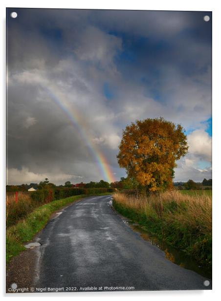 Chasing The Rainbow Acrylic by Nigel Bangert