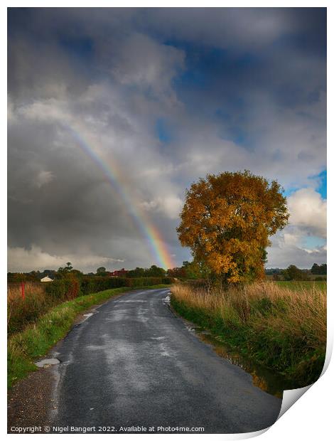Chasing The Rainbow Print by Nigel Bangert