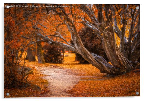 Autumn Path Acrylic by John-paul Phillippe