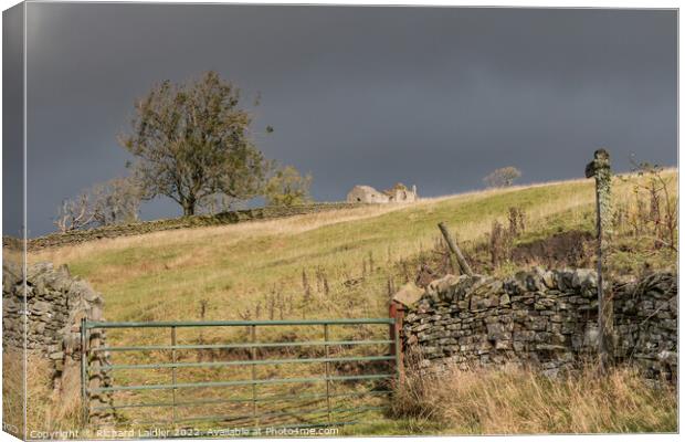 High Stonygill Farm Ruins, Teesdale Canvas Print by Richard Laidler