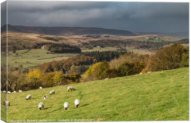 Upper Teesdale from Bell Farm in Autumn Canvas Print by Richard Laidler