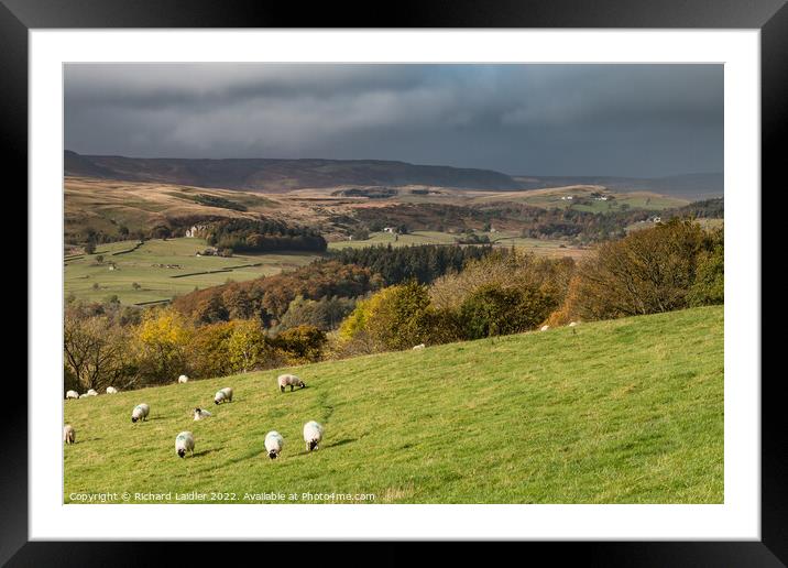 Upper Teesdale from Bell Farm in Autumn Framed Mounted Print by Richard Laidler
