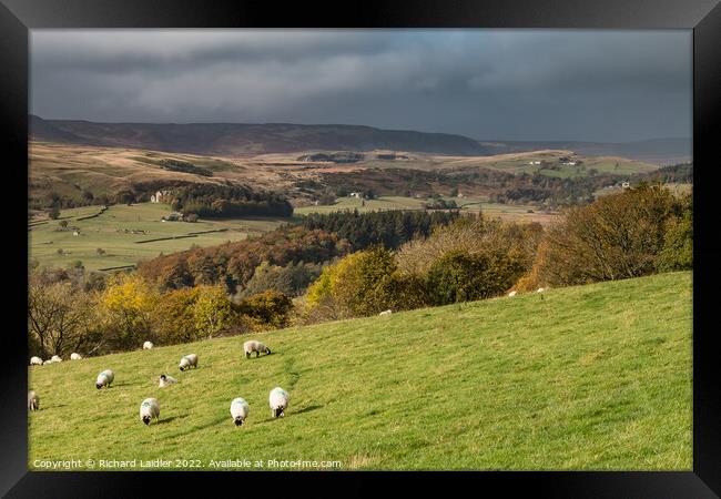 Upper Teesdale from Bell Farm in Autumn Framed Print by Richard Laidler