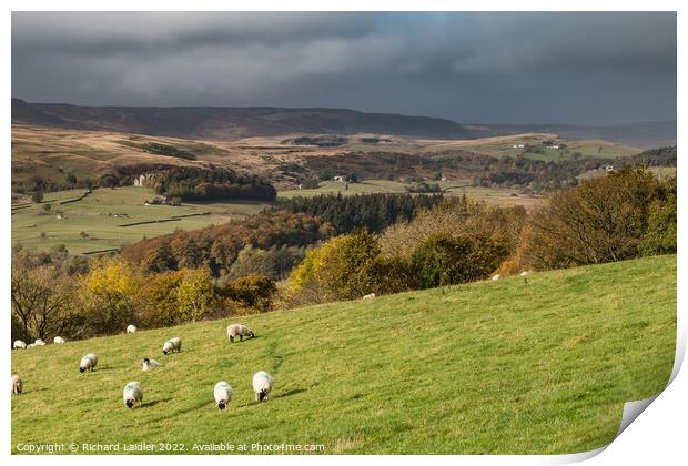 Upper Teesdale from Bell Farm in Autumn Print by Richard Laidler