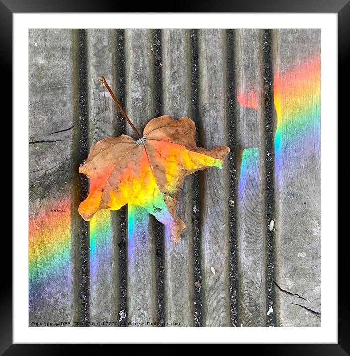 Frowsy Autumn leaf Framed Mounted Print by DEE- Diana Cosford