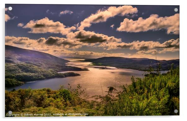 Argyll's Golden Hour: Loch Ruel's Splendour Acrylic by Gilbert Hurree