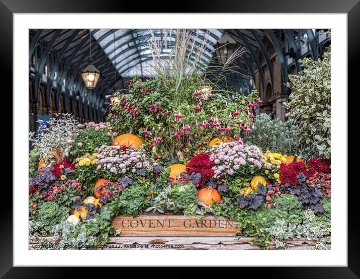 Covent Garden Framed Mounted Print by Horace Goodenough