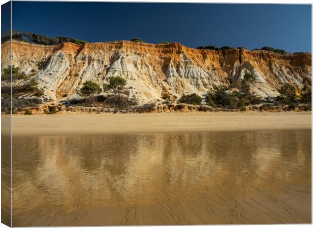 Falesia beach sea cliffs Canvas Print by Tony Twyman