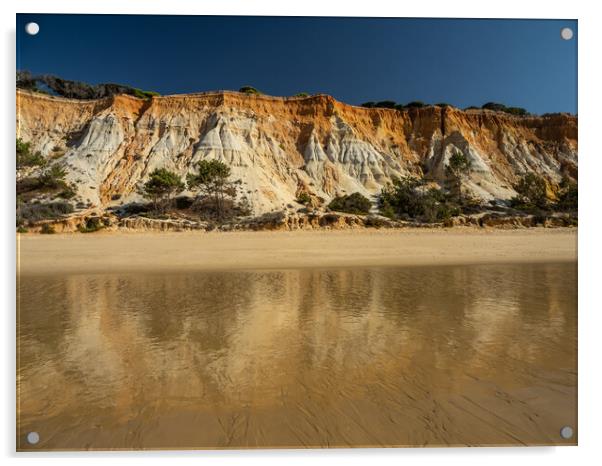 Falesia beach sea cliffs Acrylic by Tony Twyman