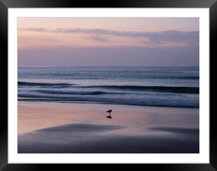 Sunrise on the Algarve coast Framed Mounted Print by Tony Twyman