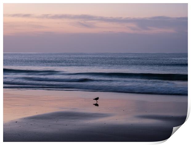 Sunrise on the Algarve coast Print by Tony Twyman