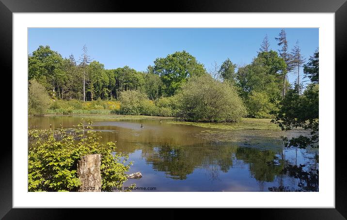 Abbots Wood Carp Pond Framed Mounted Print by Sally Wallis
