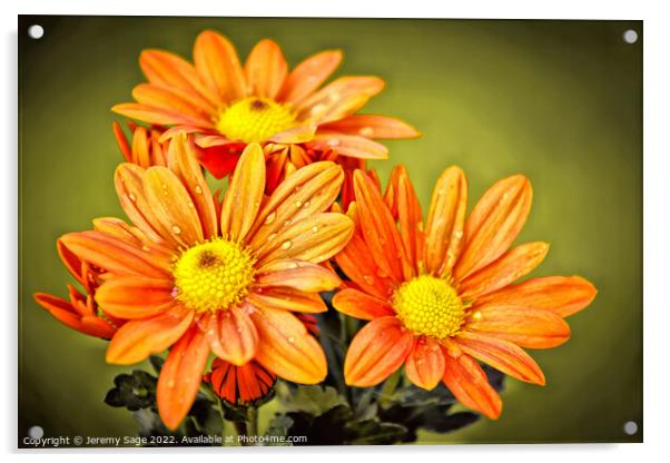 Plant flower Acrylic by Jeremy Sage